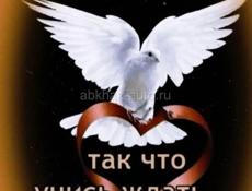 Ищу работу срочно грузчиком и ахраникам пишите WhatsApp 79407384200
