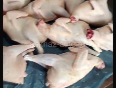 Продаются куры домашние чищеные 