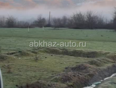 Чёрная речка 9935739
