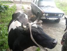 Продам цена договорная 