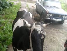 Продам цена договорная 