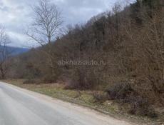 Каманы срочно
