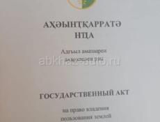 4 гектара село Тамыш
