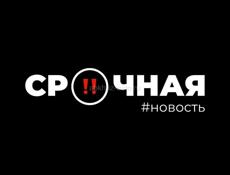 Посудница