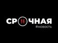 Бармен