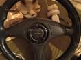 АВТОРАЗБОР Фольксваген Венто объем 2.0 Фольцфаген Гольф|||Объем  1.8 Ваз 21 15 ВАЗ 21 07 Опель Синтра Мазда Вианта Есть всё 