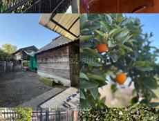 ПРОДАЕТСЯ ДОМ С УЧАСТКОМ 51 СОТКА❗️❗️