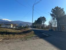Цандрипш 