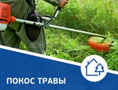 Покос трава 