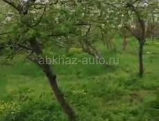 Дом с участком в 1 гектар. 