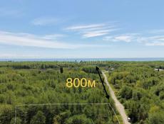 Тамыш 50 соток