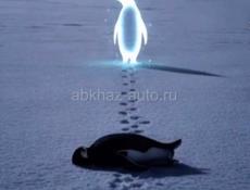 Повар фастфуд 