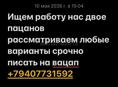 Ищем работу 