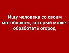 ИЩУ ЧЕЛОВЕКА СО СВОИМ МОТОБЛОКОМ, КОТОРЫЙ МОЖЕТ ОБРАБОТАТЬ ОГОРОД