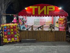 Тир