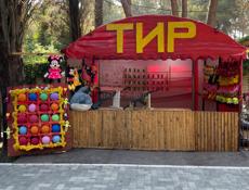 Тир