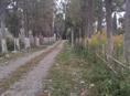 Алахадзы 15 соток земли 
