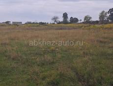 Алахадзы 30 соток земли 250 метров до моря 