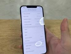 iPhone 12 Pro Max 100🔋