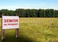 Продается дом с участком.