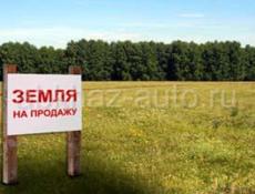 Продается дом с участком.