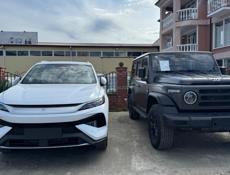 BYD