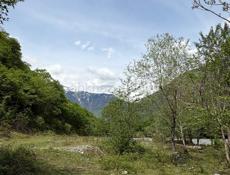 Участок 1 га по дороге на оз.Рица