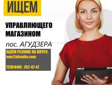 Управляющий магазином (пос.Агудзера)