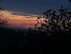 Требуется помощник по хозяйству 