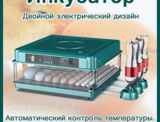 инкубатор 