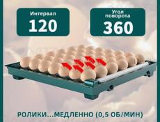 инкубатор 