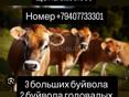 Продаем оптом все сразу 