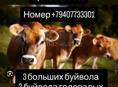 Продаем оптом все сразу 