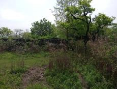Участок на Чанба срочно рядом Монастырь 