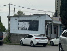 Брюки 