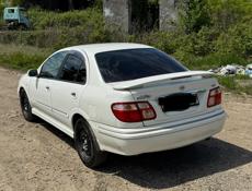 Nissan Bluebird