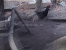 Пограничная дом 13