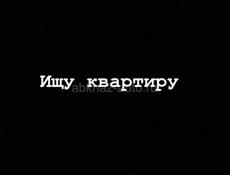 Сниму квартиру 