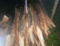 Продам колышки срочно 