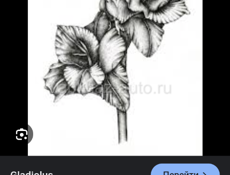 Срочно ищу работу 