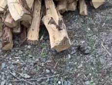 Колья