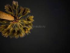 Ищу работу 