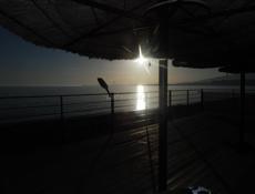 Фотоаппарат Samsung WB 100