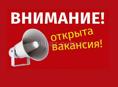 Продавец-консультант 