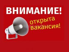 Продавец-консультант 