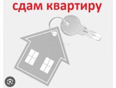 Сдам трешку на летний сезон 