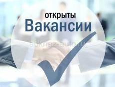 Требуется секретарь. Цандрипш