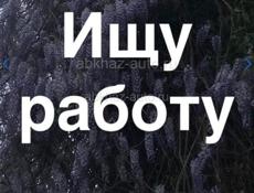 Шведская линия
