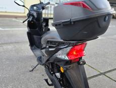 Buell