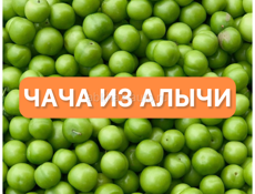 Чача